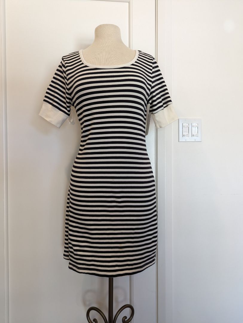 Workshop Size: M Above the Knee