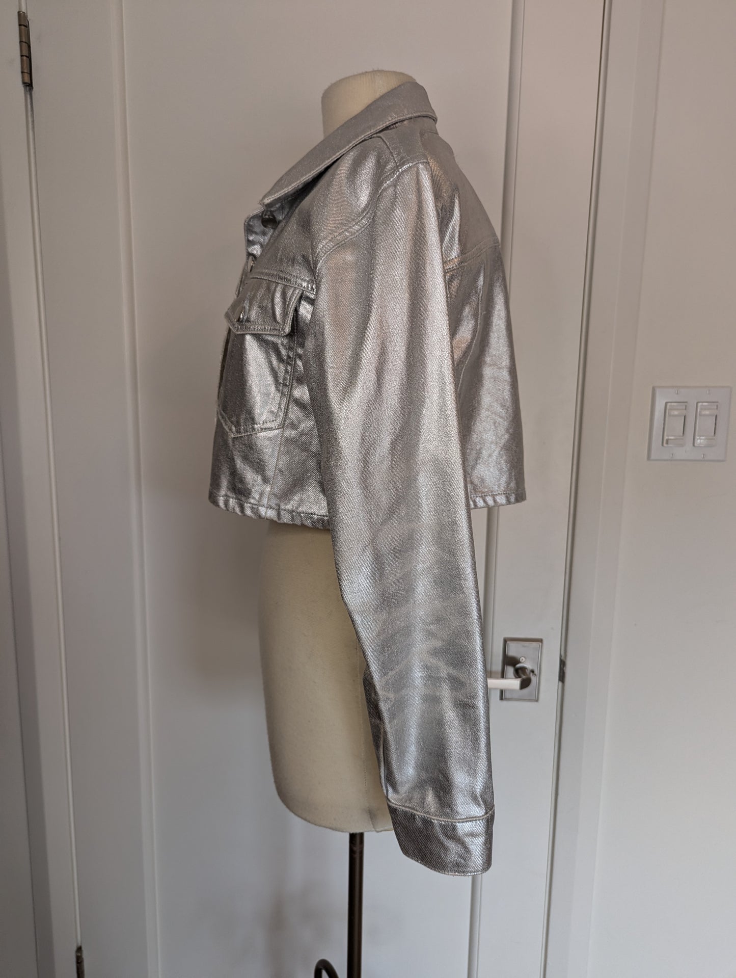 Zara Metallic Jacket Size: L