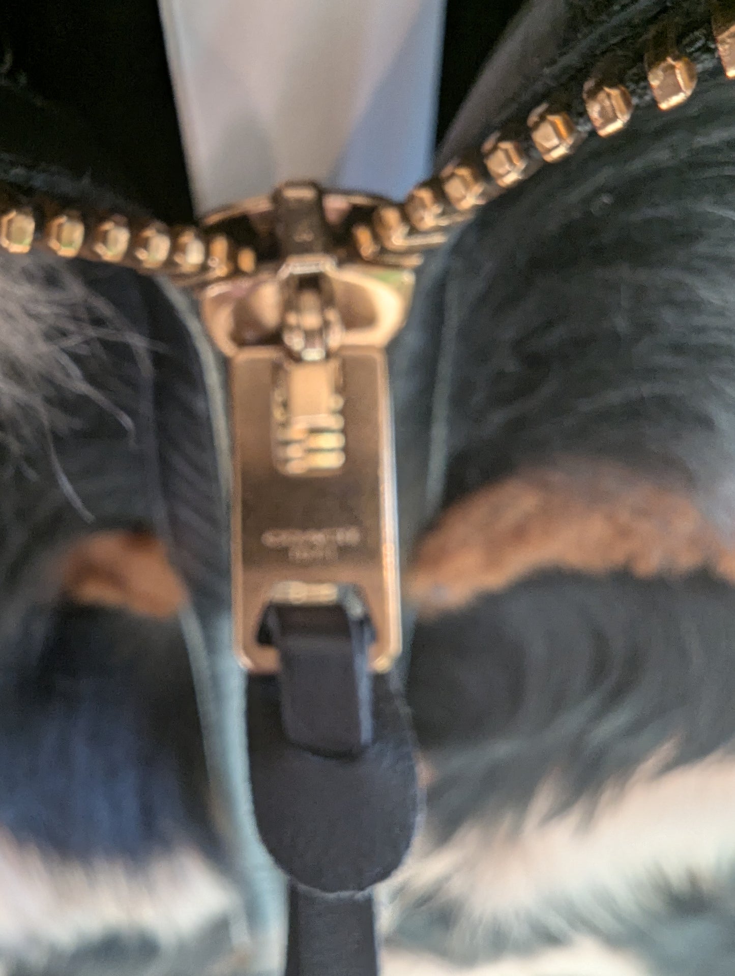 COACH fur Vest Size: S