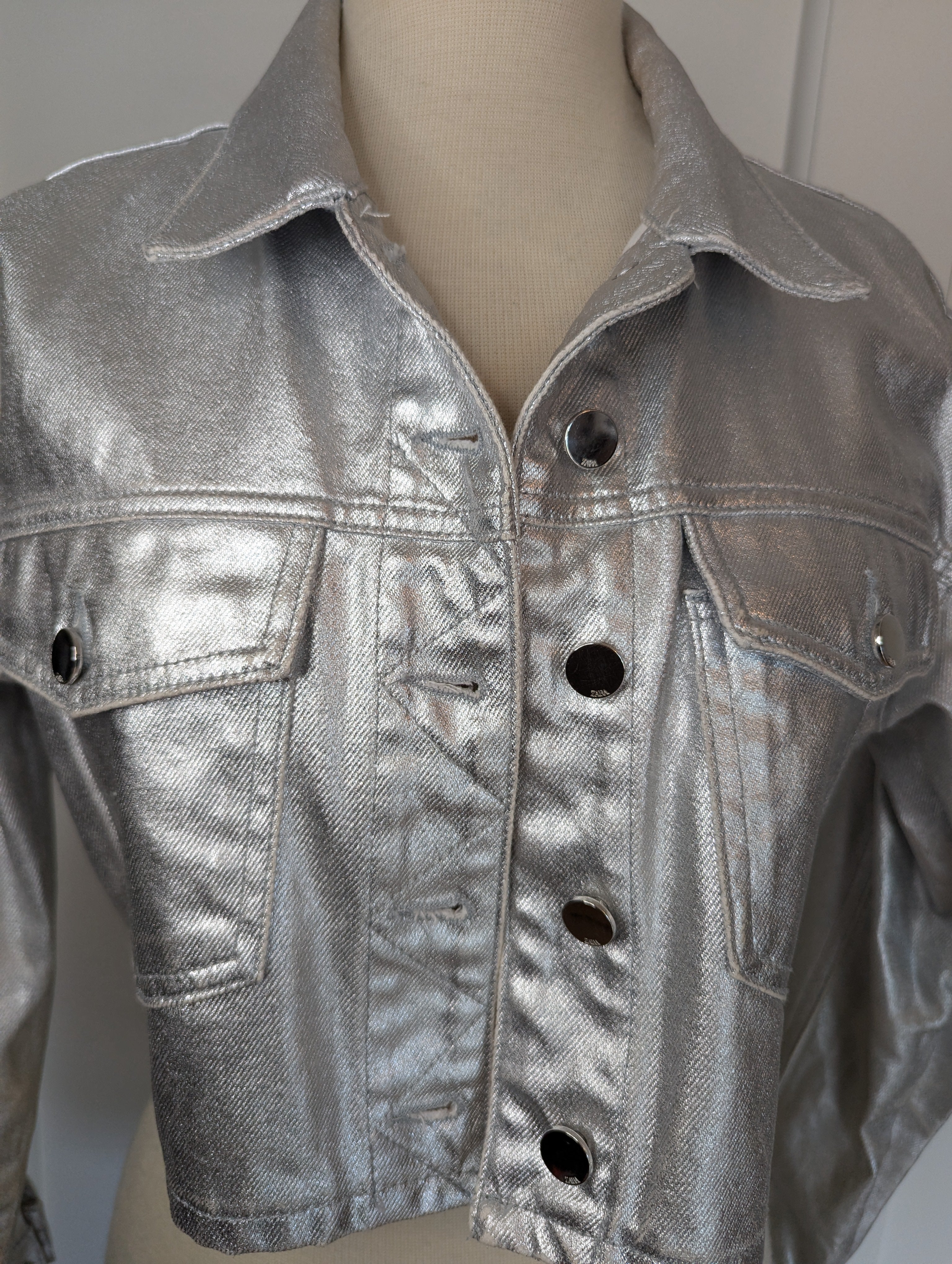 Metallic jacket zara on sale