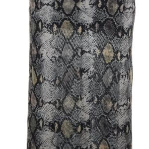 Zara Snake Print Mesh Skirt — Size M